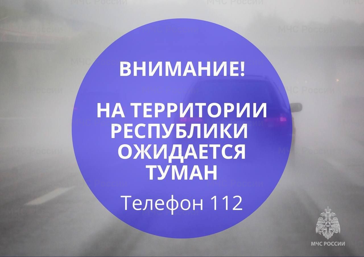 13 февраля в ночные и утренние часы местами на территории Республики Мордовия ожидается туман с видимостью 500-800 м. На дорогах гололедица..