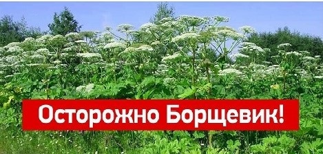 Уважаемые жители и гости Чамзинского района!.