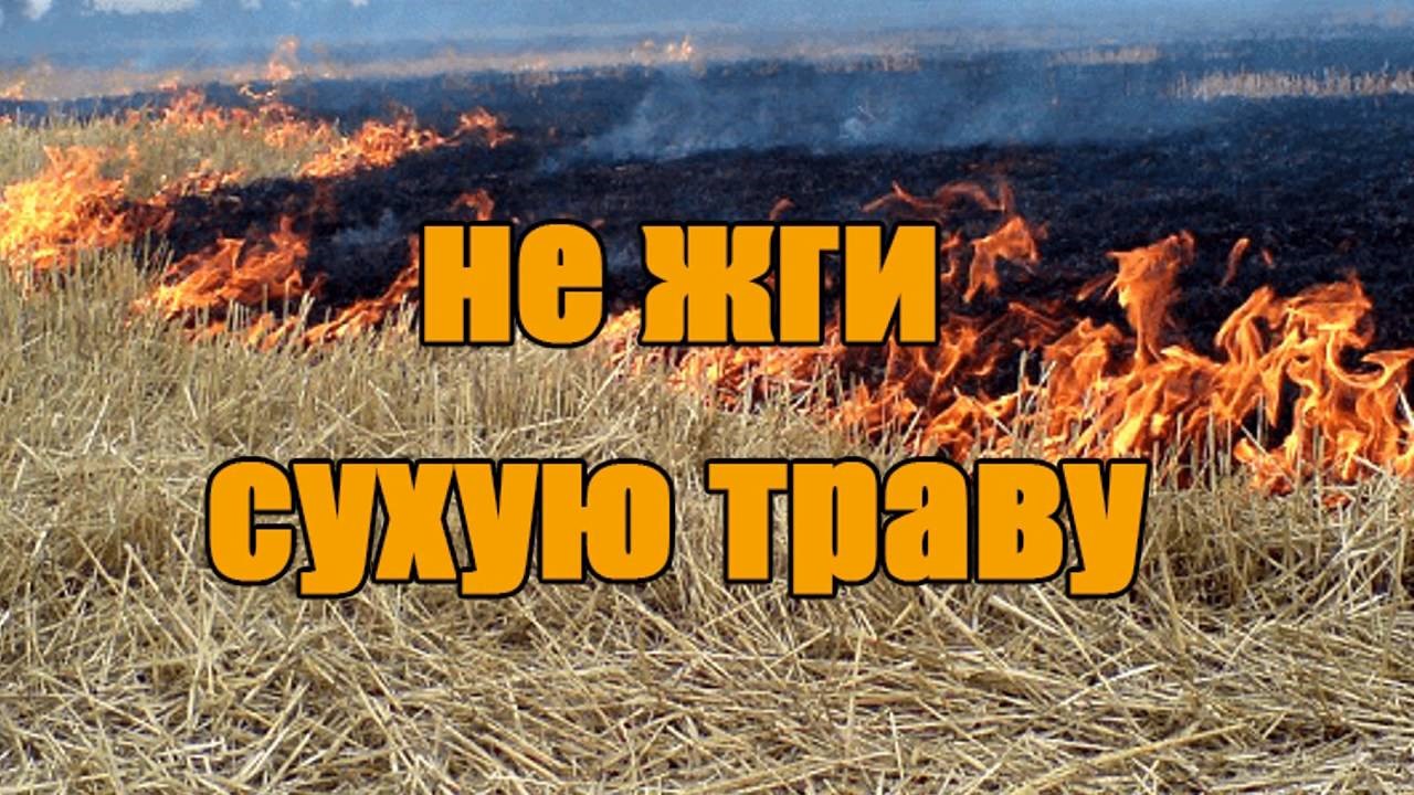 О недопущении пала сухой травы..