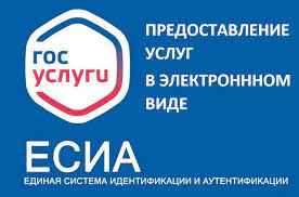 Подать заявление о получении массовых социально значимых услуг можно, не выходя из дома.