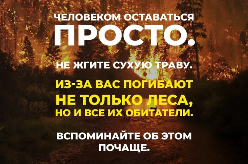 Пожары, которые связаны с палом травы, быстро распространяются, уничтожая все на своем пути..
