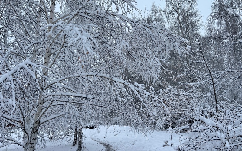 Штормовое предупреждение на 13.01.2025 г. (налипание мокрого снега).