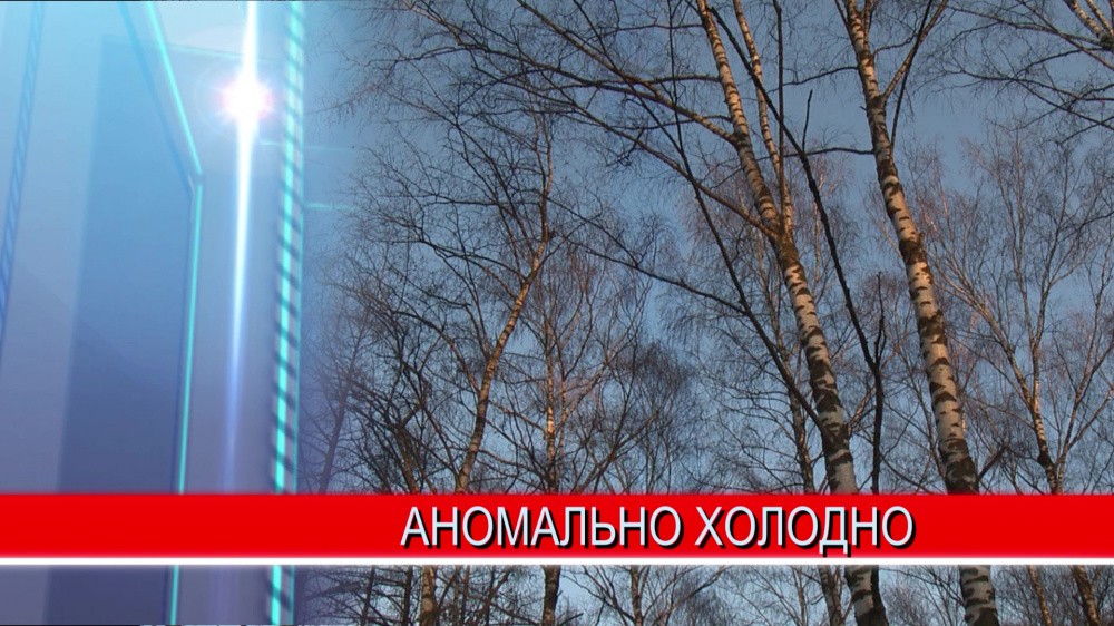 Оперативное предупреждение.