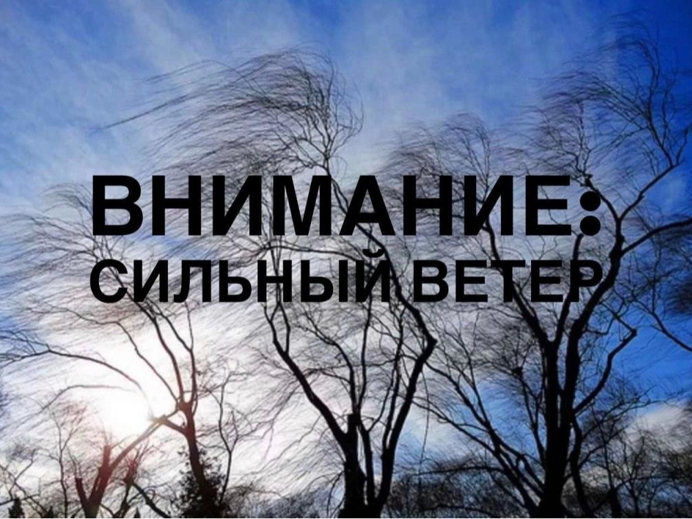 22 ноября 2024 года местами на территории Республики Мордовия ожидаются порывы ветра 15-20 м/с..